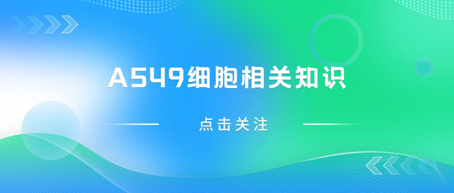 關(guān)于A549細(xì)胞，您不得不知道的一些操作